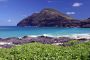 10Oahu - 56
